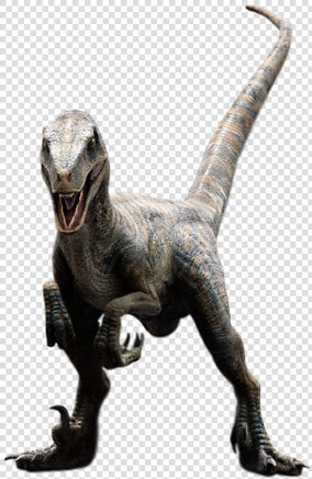 Velociraptor Transparent Echo   Jurassic Park Raptor Png  Png DownloadTransparent PNG