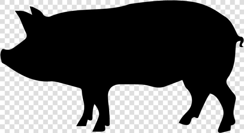 Pig Silhouette Clip Art   Silhouette Of A Pig Png  Transparent PngTransparent PNG