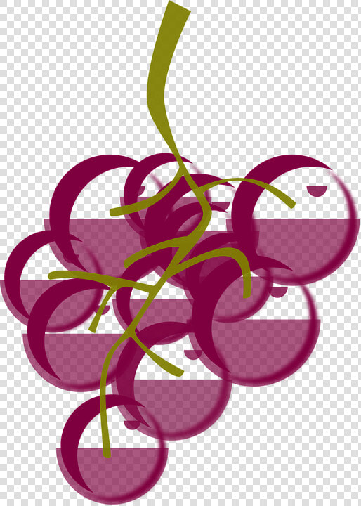 Vector Uvas Png  Transparent PngTransparent PNG