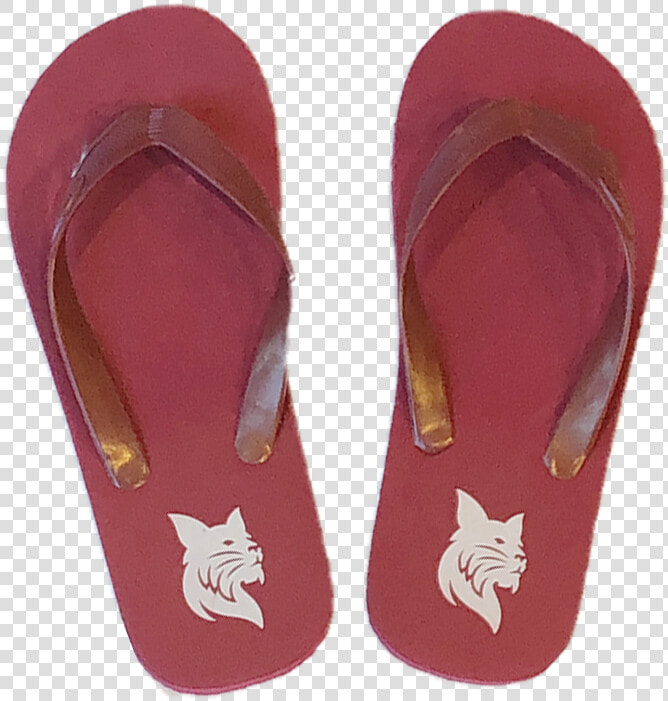 Bobcat Flip Flops   Flip flops  HD Png DownloadTransparent PNG