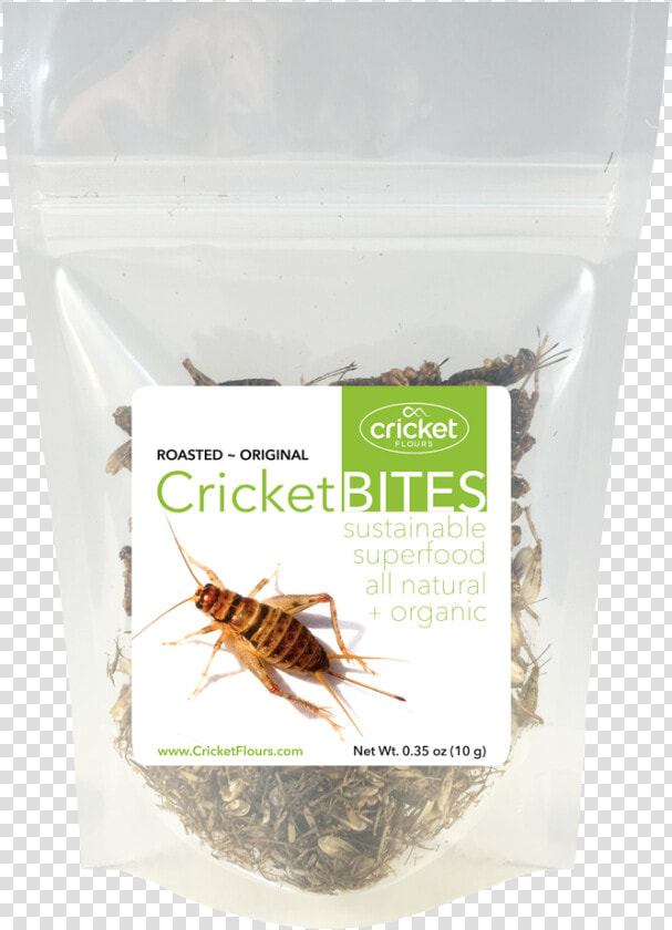 Roasted Crickets  amp  Dried Crickets   Dry Roasted Crickets  HD Png DownloadTransparent PNG