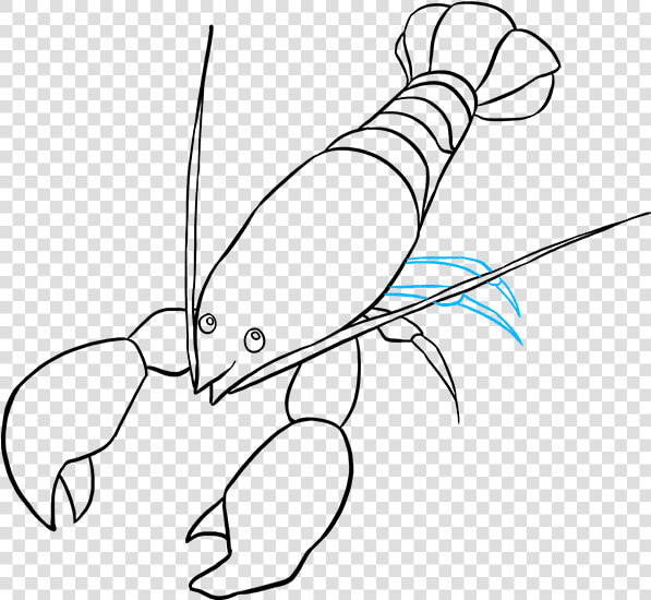 Collection Of Free Drawing   Draw Lobster  HD Png DownloadTransparent PNG