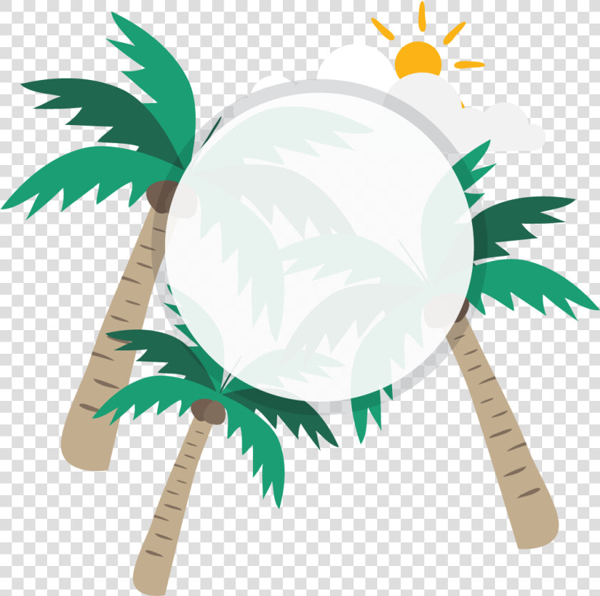 Coconut Milk Euclidean Vector   Illustration  HD Png DownloadTransparent PNG