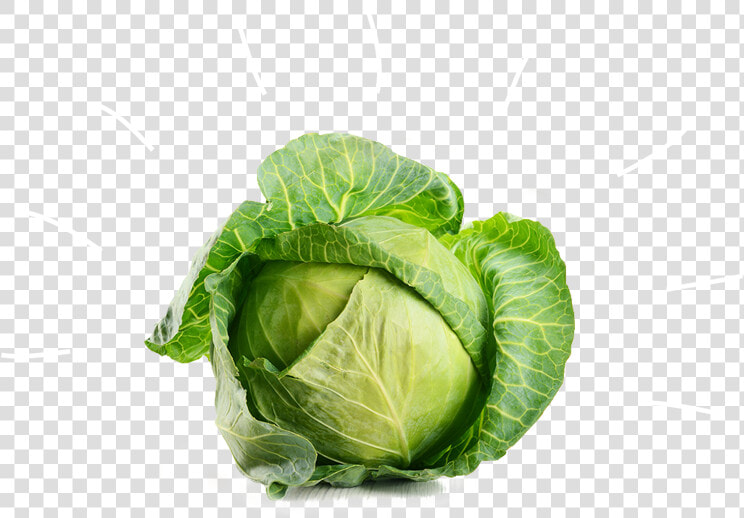 Cabbage Vegetable Broccoli Beetroot   White Cabbage  HD Png DownloadTransparent PNG