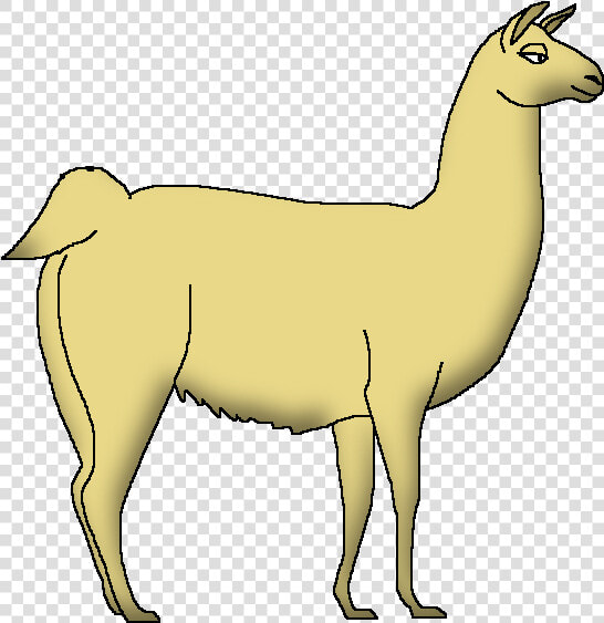 Wildlife Animal Pedia Wiki   Llama  HD Png DownloadTransparent PNG