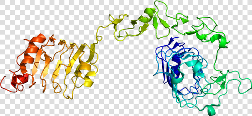 Protein Igf1r Pdb 1igr   Insulin Like Growth Factor 1 Receptor  HD Png DownloadTransparent PNG