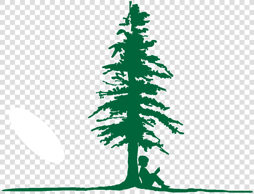 Just Tree Logo Burned Ground Edited To Be Shorter   Larchmont Charter School Logo  HD Png DownloadTransparent PNG