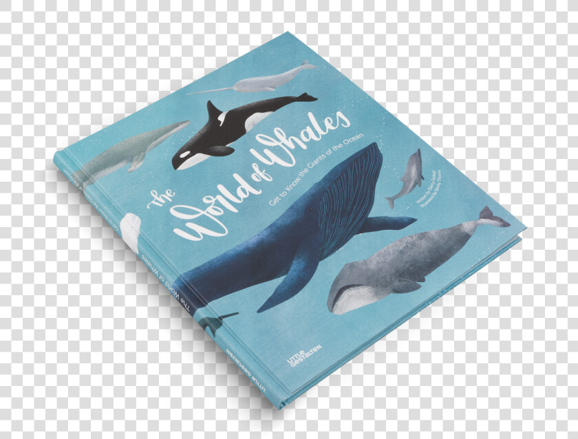 The World Of Whales By Darcy Dobell And Becky Thorns   Blue Whale  HD Png DownloadTransparent PNG