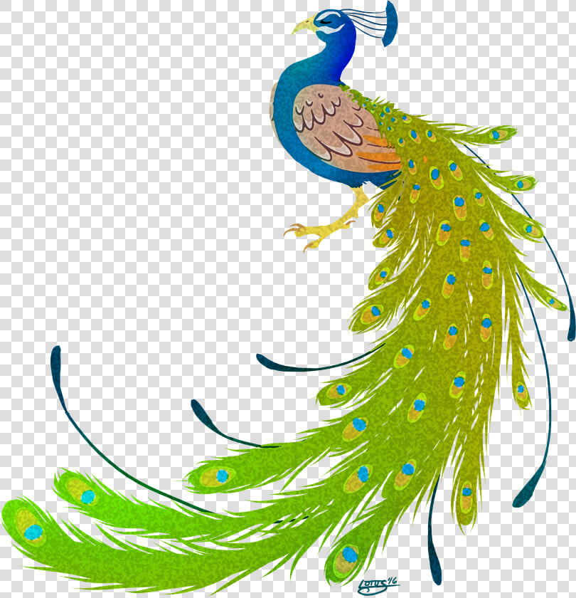 Transparent Peacock Png   Peacock Images Hd Png  Png DownloadTransparent PNG