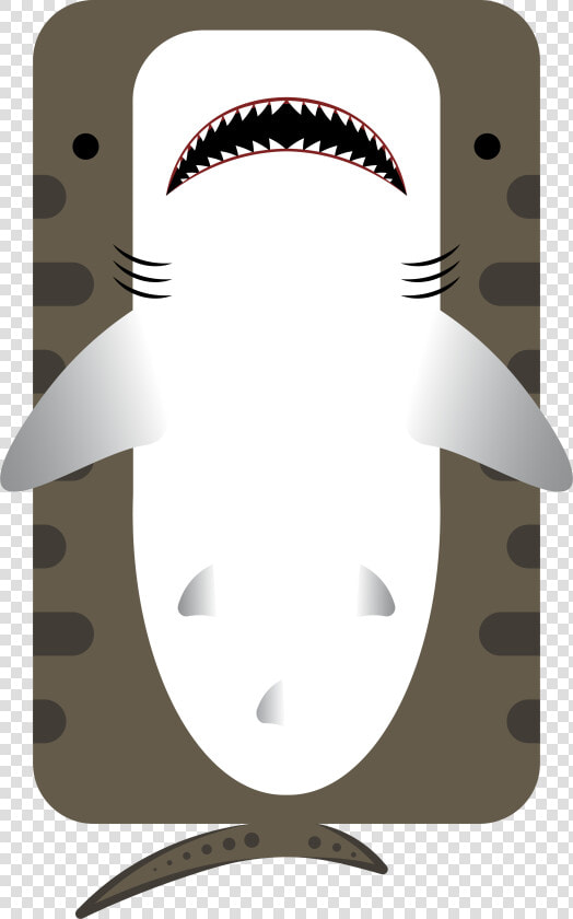 Animal animal  Tiger Shark  HD Png DownloadTransparent PNG