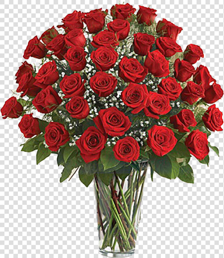 Dozen Red Roses  HD Png DownloadTransparent PNG