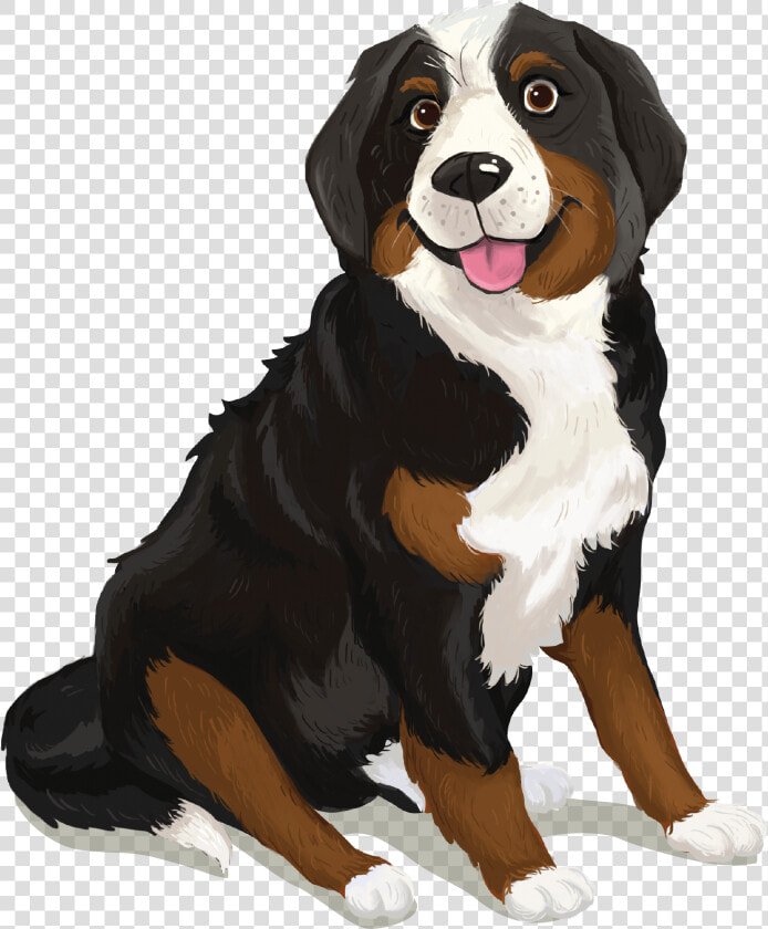 Bernese Mountain Dog  HD Png DownloadTransparent PNG