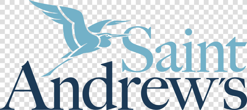 Seabird  HD Png DownloadTransparent PNG