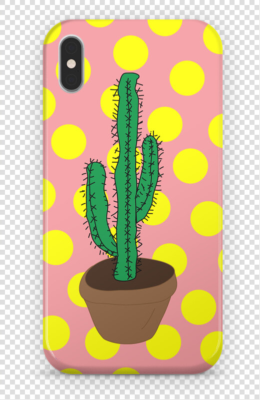 Transparent Cactus Mexicano Png  Png DownloadTransparent PNG