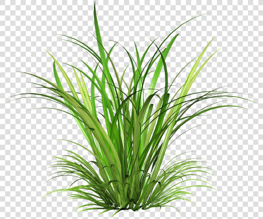 Png Transparente De Arbustos De Tinta Verde   Transparent Grass Png  Png DownloadTransparent PNG