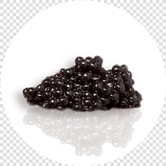 Transparent Caviar Png  Png DownloadTransparent PNG