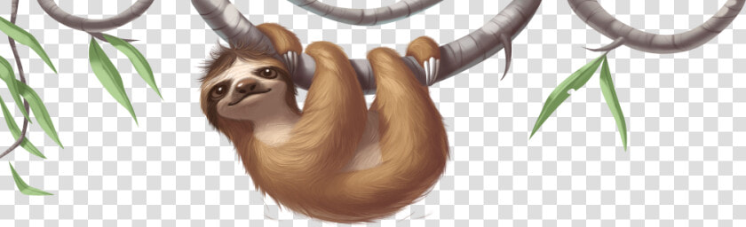 Sloth Png   Transparent Background Sloths Png  Png DownloadTransparent PNG