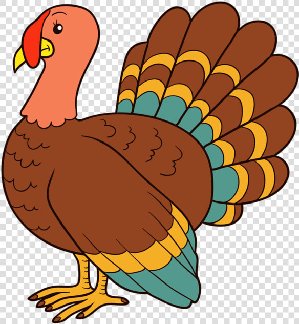 Shadow Of A Turkey Clipart   Png Download   Animales Con Plumas Dibujos  Transparent PngTransparent PNG