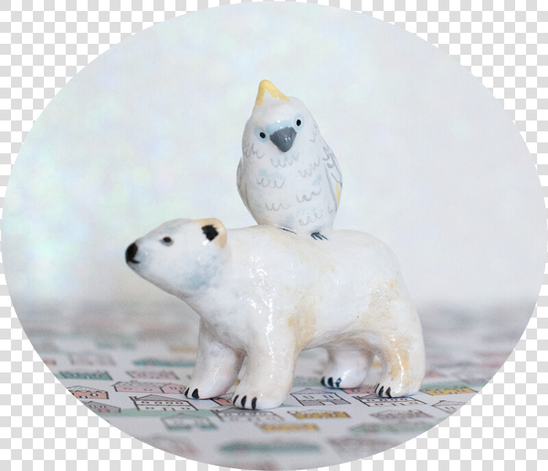 Polar Bear And Cockatoo  HD Png DownloadTransparent PNG