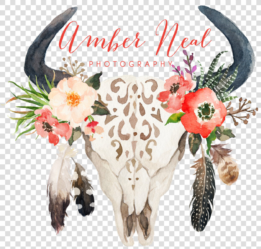 Cow Skull With Flowers And Feathers   Png Download   Bull Skull With Feathers And Flowers  Transparent PngTransparent PNG