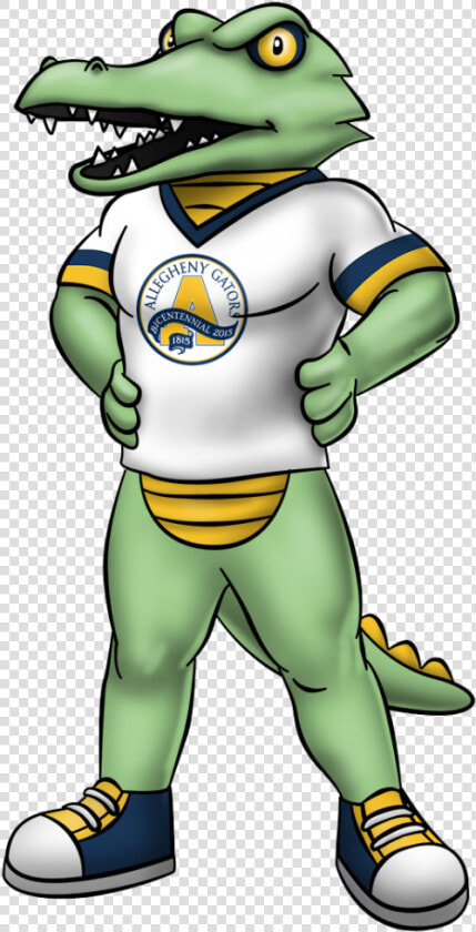 Allegheny Gators Clipart   Png Download   Allegheny College  Transparent PngTransparent PNG