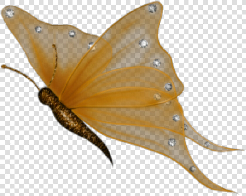 Transparent Mariposas Png   Transparent Background Butterfly Clipart Png  Png DownloadTransparent PNG