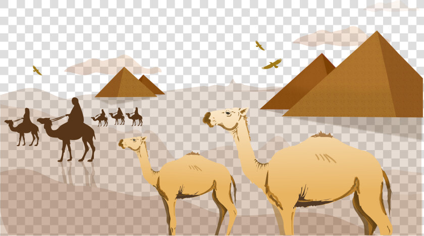 Clip Art Sahara Arabian Clip Art   Egypt Sahara Desert Clip Art  HD Png DownloadTransparent PNG