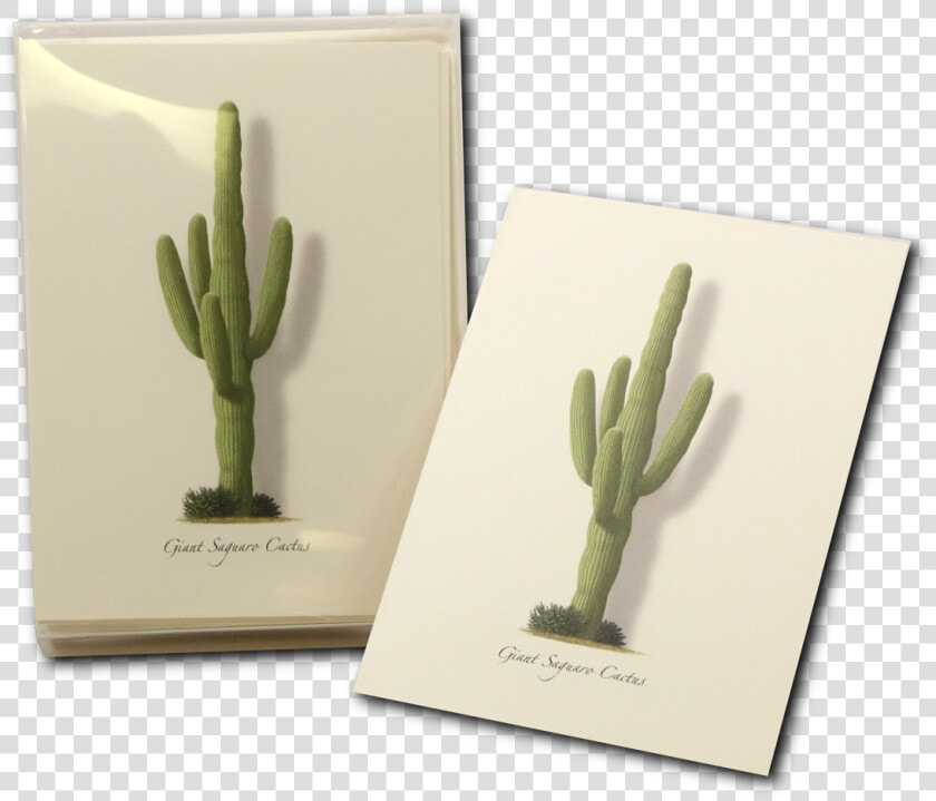 Shopping Cart         Hedgehog Cactus   San Pedro Cactus  HD Png DownloadTransparent PNG