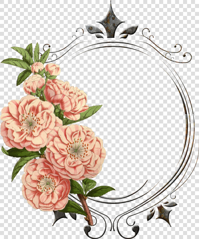 Transparent Vintage Frames Png   Vintage Flower Border Png  Png DownloadTransparent PNG