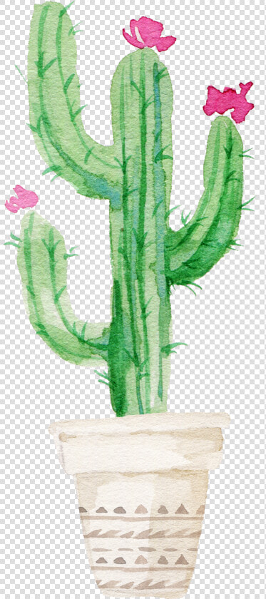 Succulent Plant Watercolor Painting   Cactus With Flower Drawing  HD Png DownloadTransparent PNG