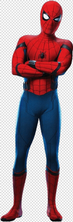 Spiderman Png Transparent Image   Spider Man Homecoming Spider Man  Png DownloadTransparent PNG