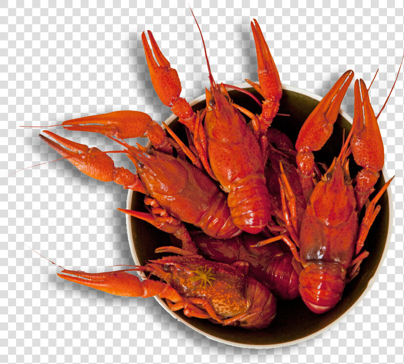 Louisiana Svg Crawfish   Crab Boil  HD Png DownloadTransparent PNG