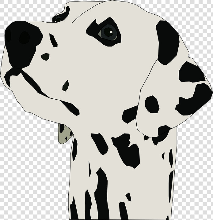 Dalmatian Clipart Svg   Dalmatian Head Clipart  HD Png DownloadTransparent PNG