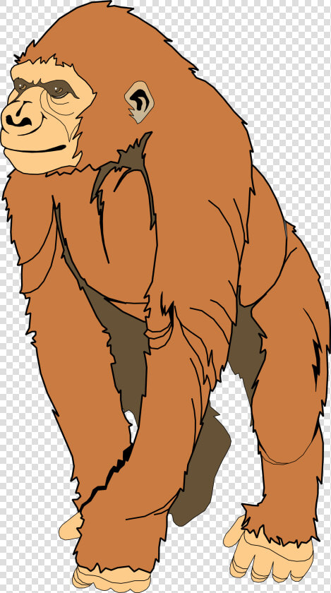 Ape Clipart     Free Clipart Ape  HD Png DownloadTransparent PNG