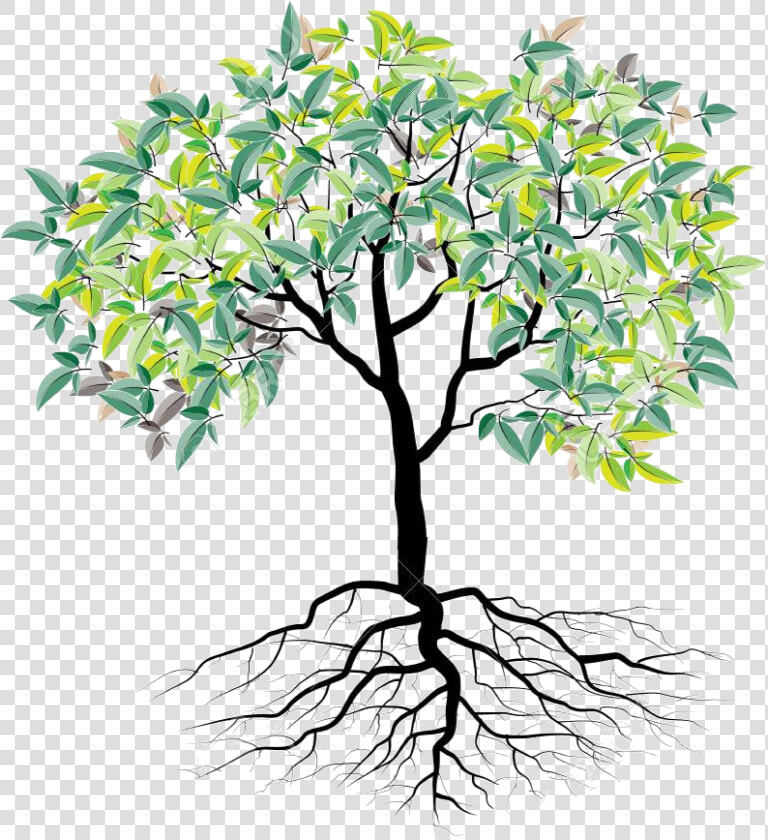 Faith  Family And Roots   Arbol De Problemas De La Drogadiccion  HD Png DownloadTransparent PNG