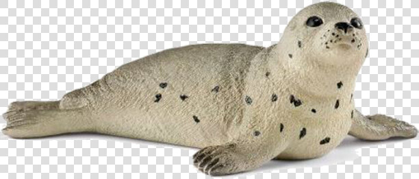 Schleich Säl  HD Png DownloadTransparent PNG