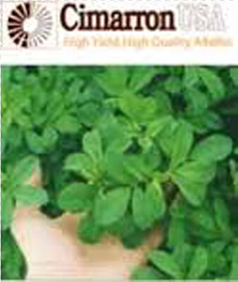 Cimarron Herb  HD Png DownloadTransparent PNG