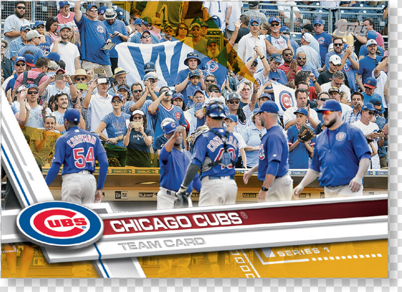 Transparent Chicago Cubs Png   Fan  Png DownloadTransparent PNG