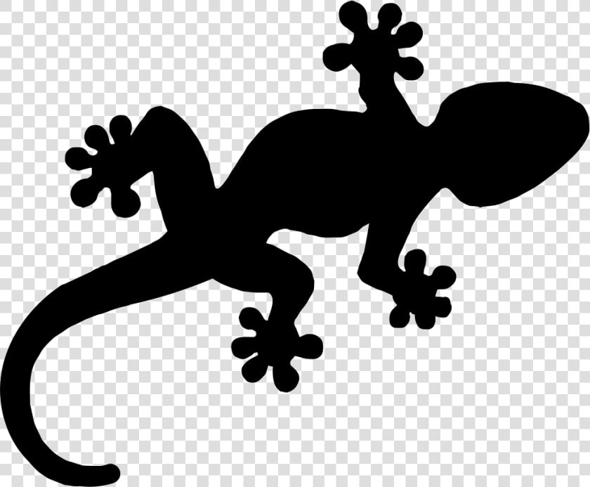 Gecko Reptile Shape   Reptile Icon  HD Png DownloadTransparent PNG