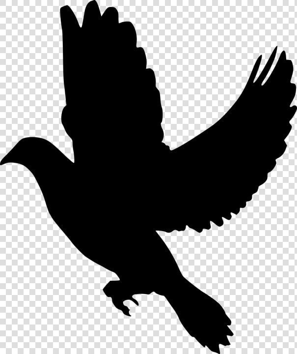 Silhouette  Peace  Dove  Flying  Olive  Branch  Symbol   Black Dove  HD Png DownloadTransparent PNG