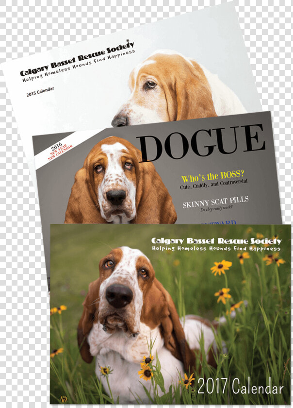 But Since I Can T  I Have Found A Way To Use My Skills   Basset Hound  HD Png DownloadTransparent PNG