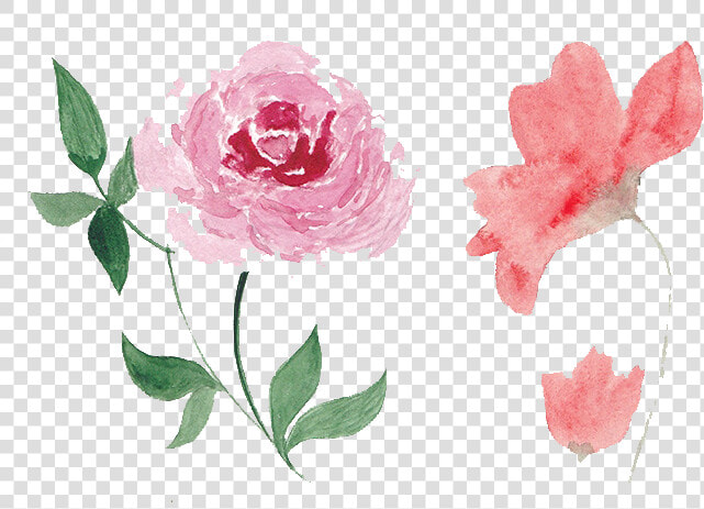 Flower pink watercolor Paint common Peony flowering   Pink Flowers Watercolor Png  Transparent PngTransparent PNG