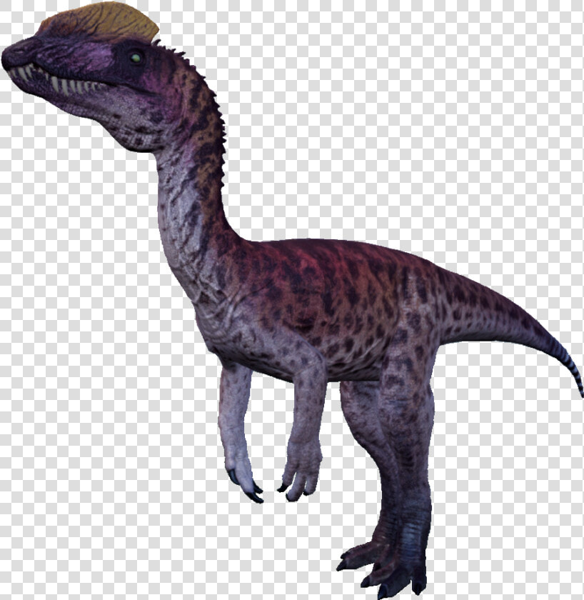 Dilophosaurus The Isle   Png Download   Dilophosaurus The Isle Png  Transparent PngTransparent PNG