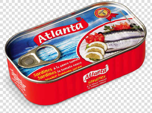 Sardine Atlanta  HD Png DownloadTransparent PNG