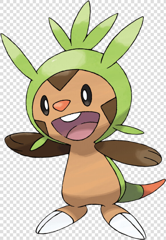 X And Y 800x   Pokemon Chespin  HD Png DownloadTransparent PNG