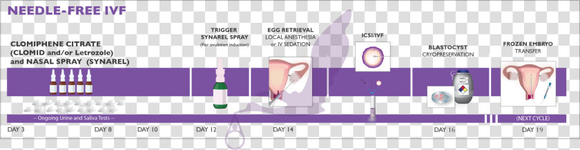 Needle free Ivf   Ivf Process Needles  HD Png DownloadTransparent PNG