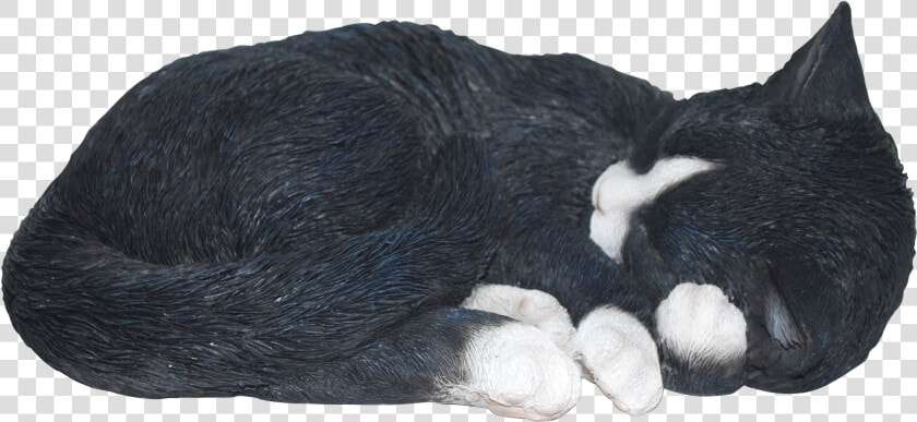 Transparent Sleeping Cat Png   Transparent Png Cat Sleeping No Background  Png DownloadTransparent PNG