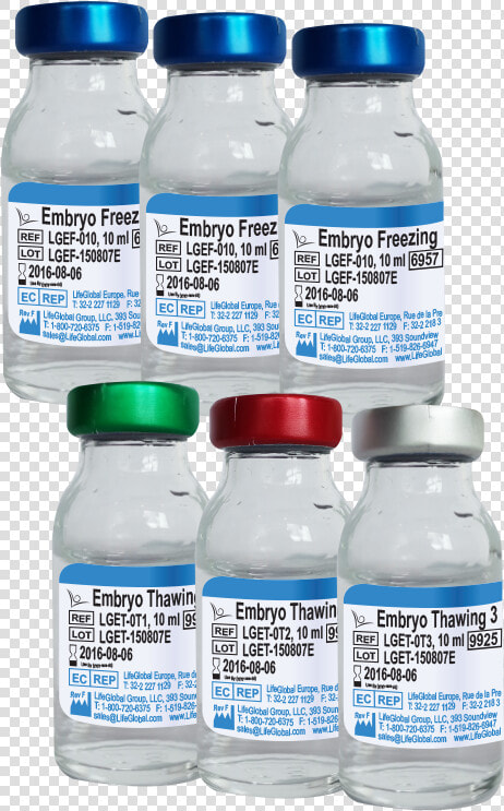 Embryo Freezing  amp  Thawing   Png Download   Plastic Bottle  Transparent PngTransparent PNG