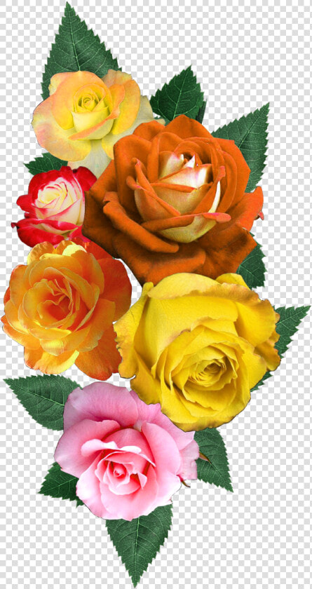 Digital Flower Design  Vector flower vector Art flower   Garden Roses  HD Png DownloadTransparent PNG