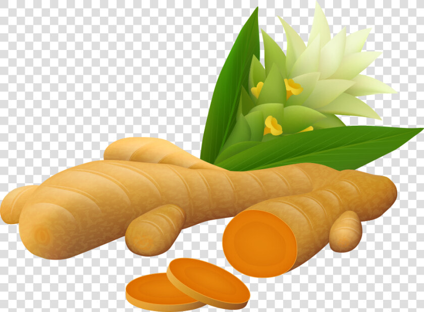 Ginger Vector Spice   Turmeric Vector  HD Png DownloadTransparent PNG